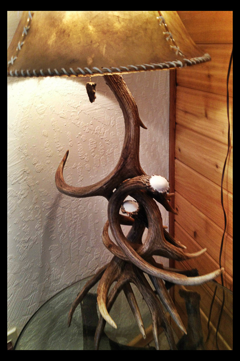 Mule Deer 4 Antler Table Lamp w/ Rawhide Shade