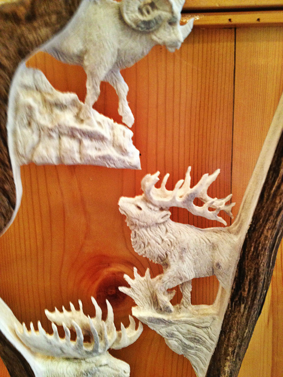 Idaho Big 4 Antler Carving w/ Eagle Head