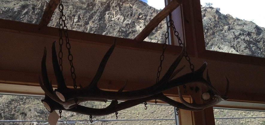 Elk & Whitetail Antler Pot Rack