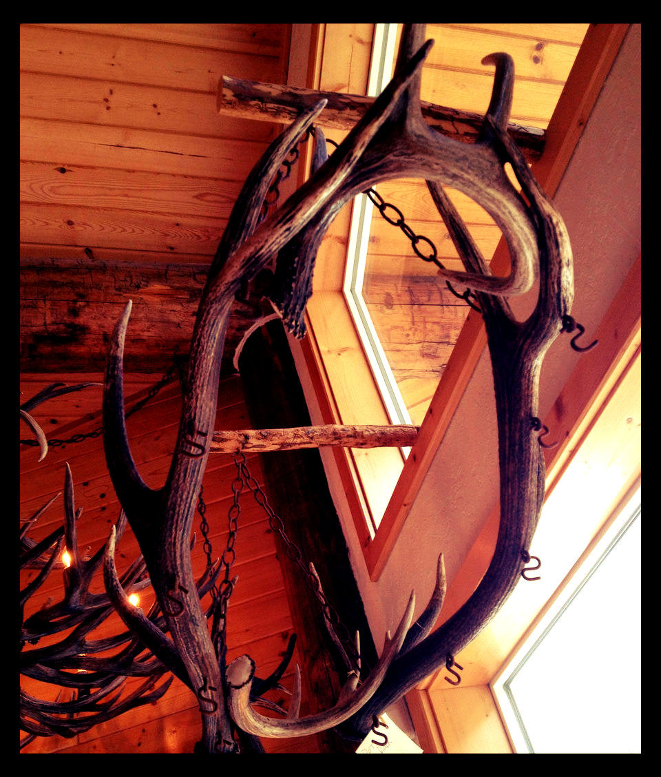 Elk & Whitetail Antler Pot Rack