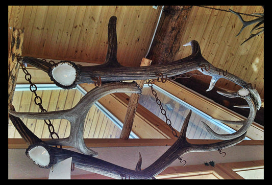 Elk & Whitetail Antler Pot Rack