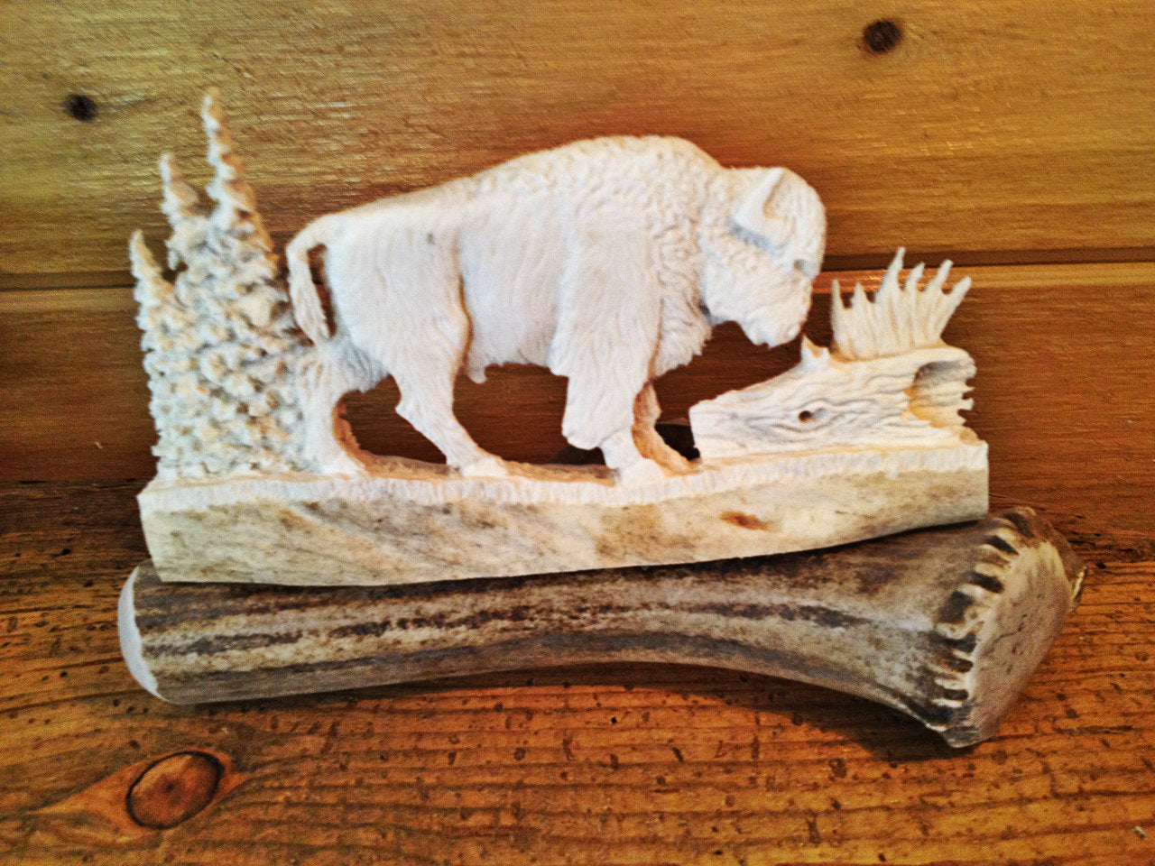 Bull Bison Antler Carving