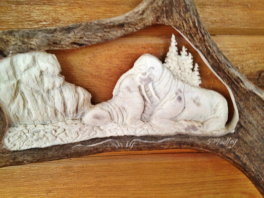Momma Walrus Antler Carving, 15"-20"