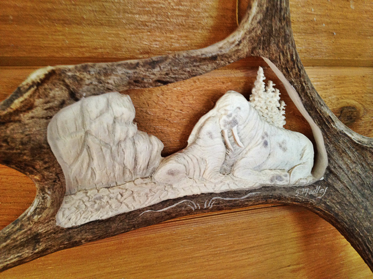 Momma Walrus Antler Carving, 15"-20"