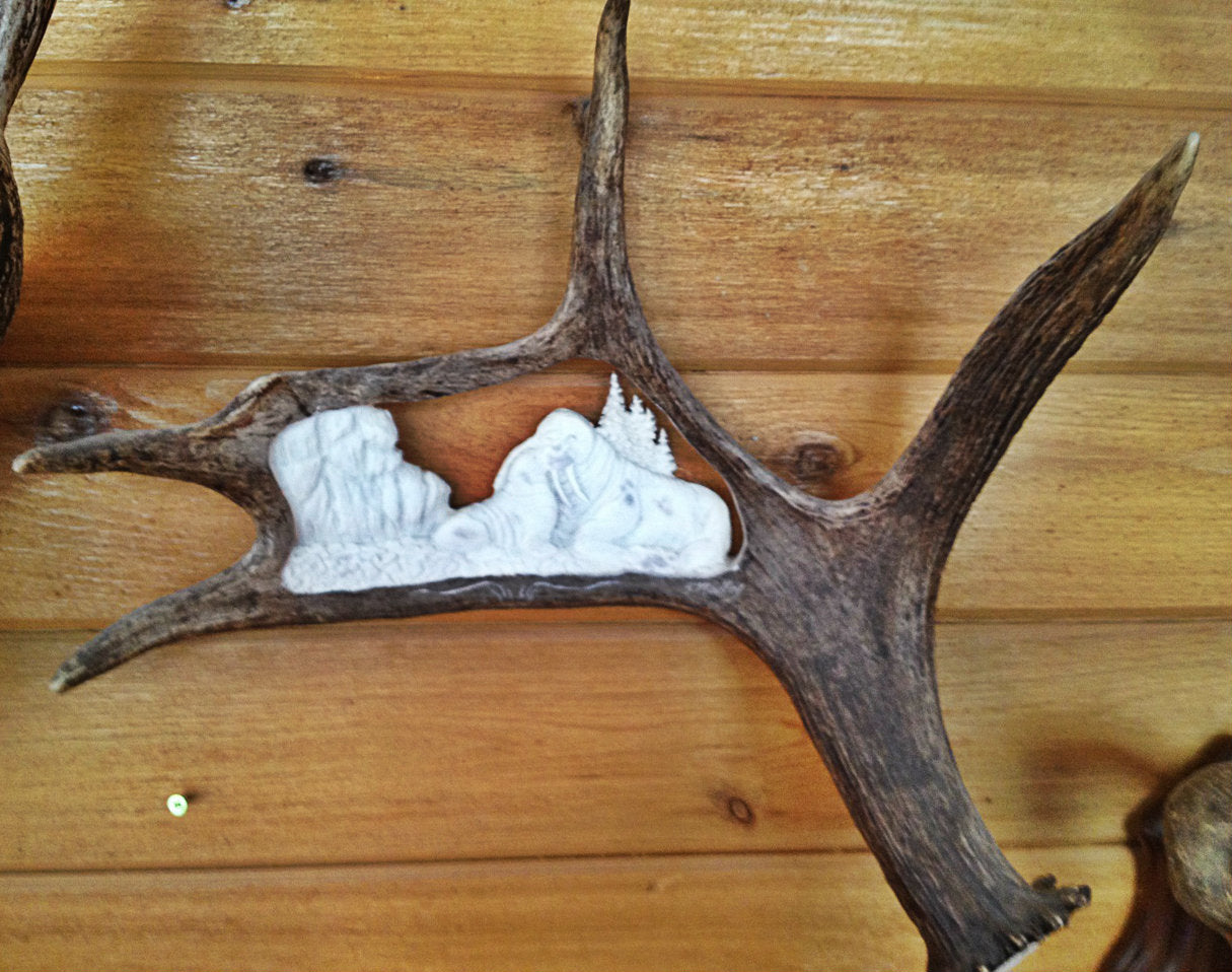 Momma Walrus Antler Carving, 15"-20"