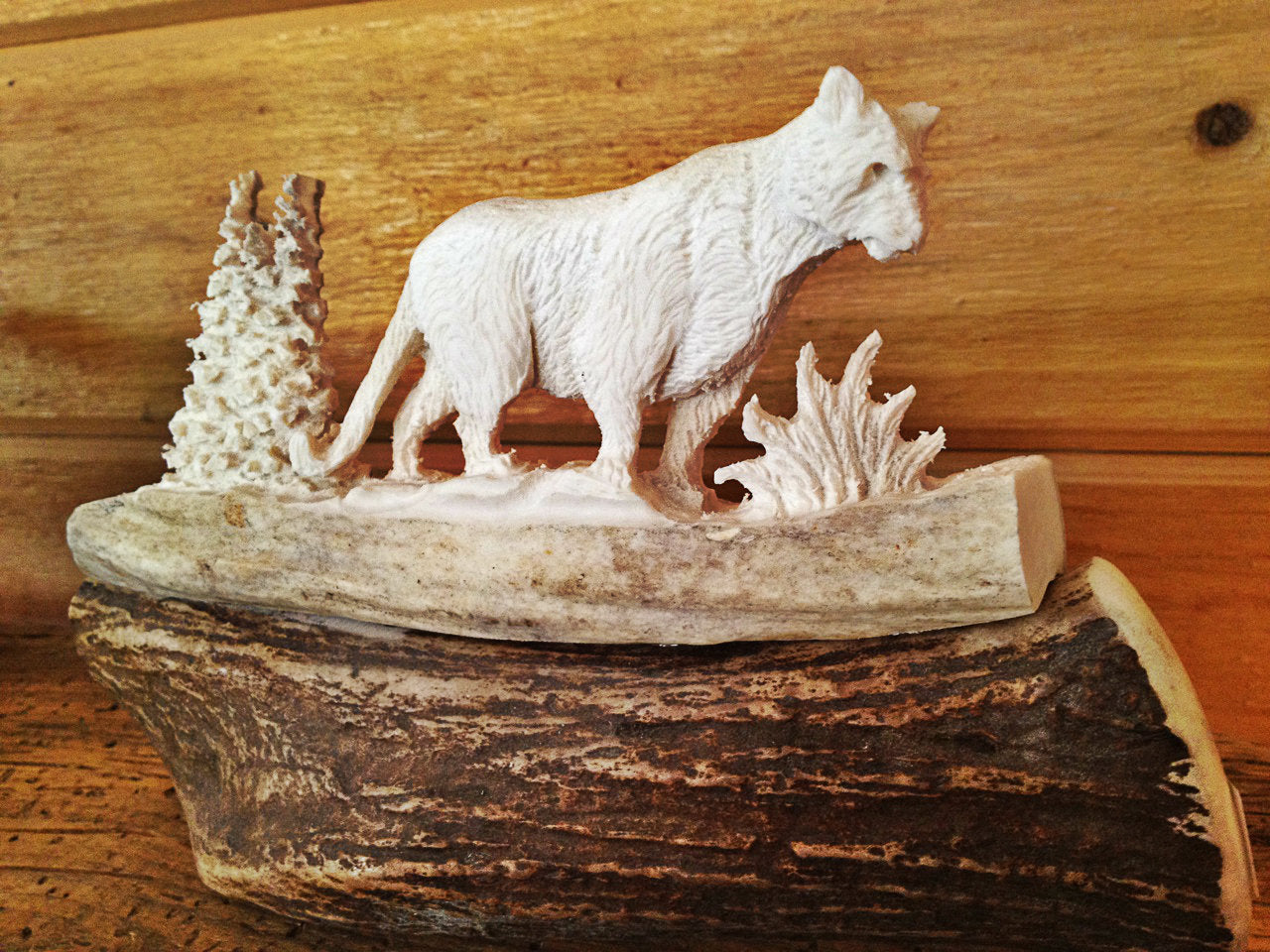 Cougar Antler Carving