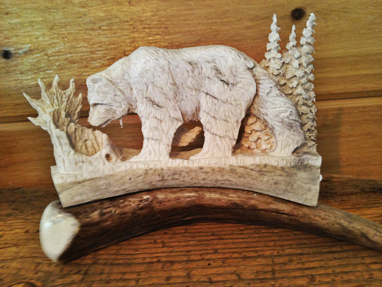 Brown Bear Antler Carving