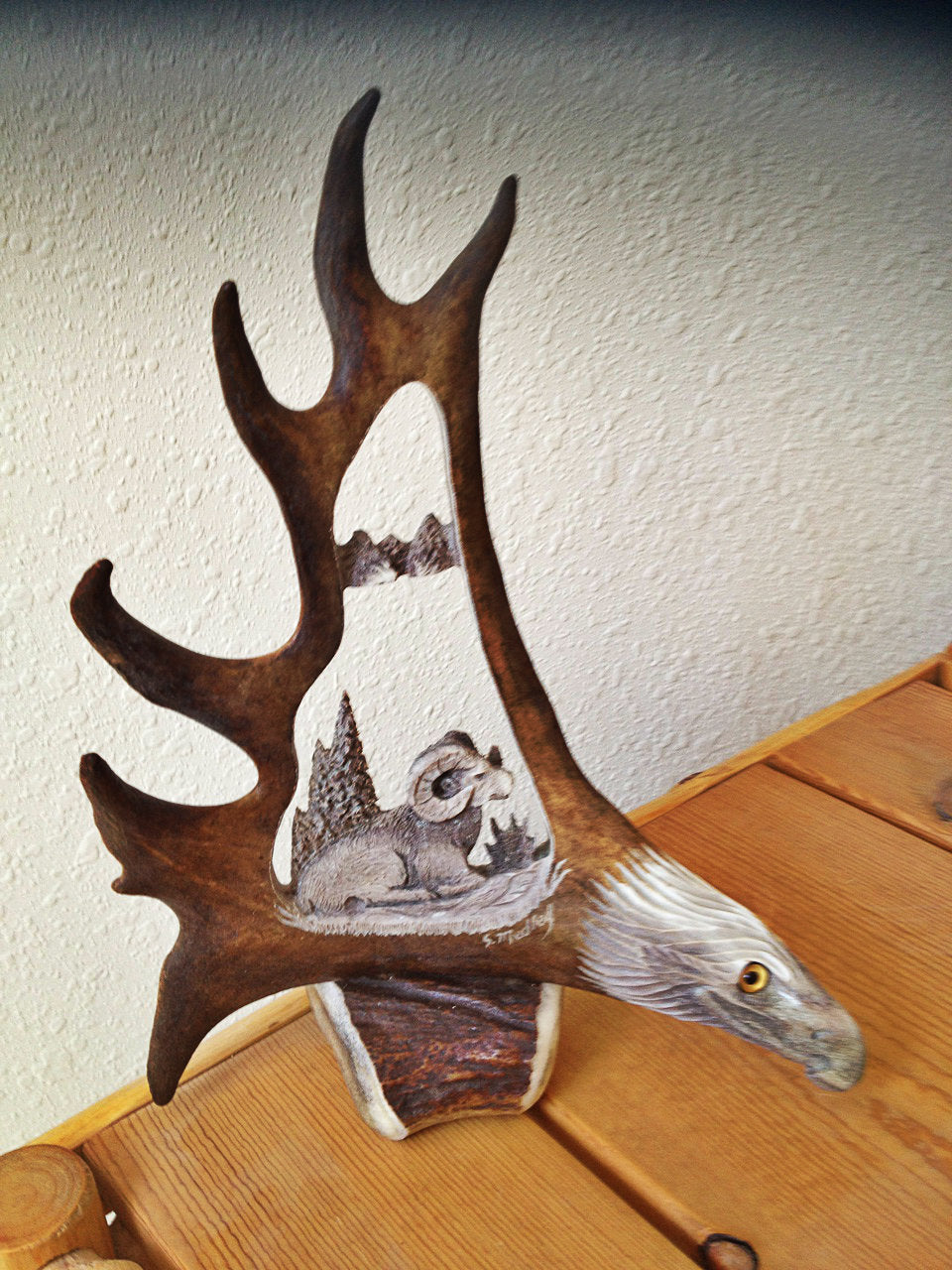 Wild Ram Antler Carving