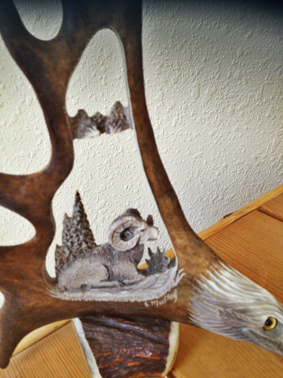 Wild Ram Antler Carving