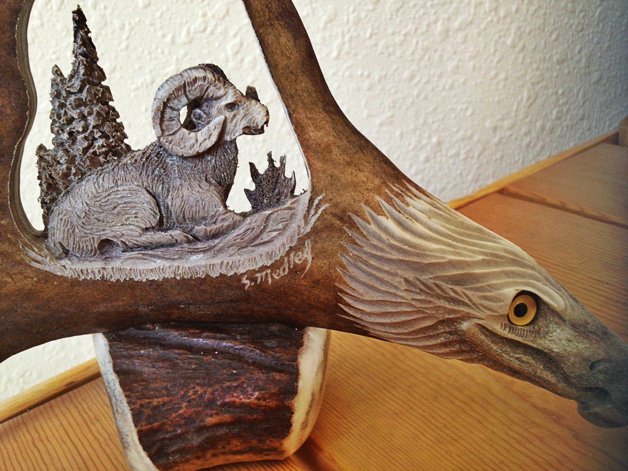 Wild Ram Antler Carving