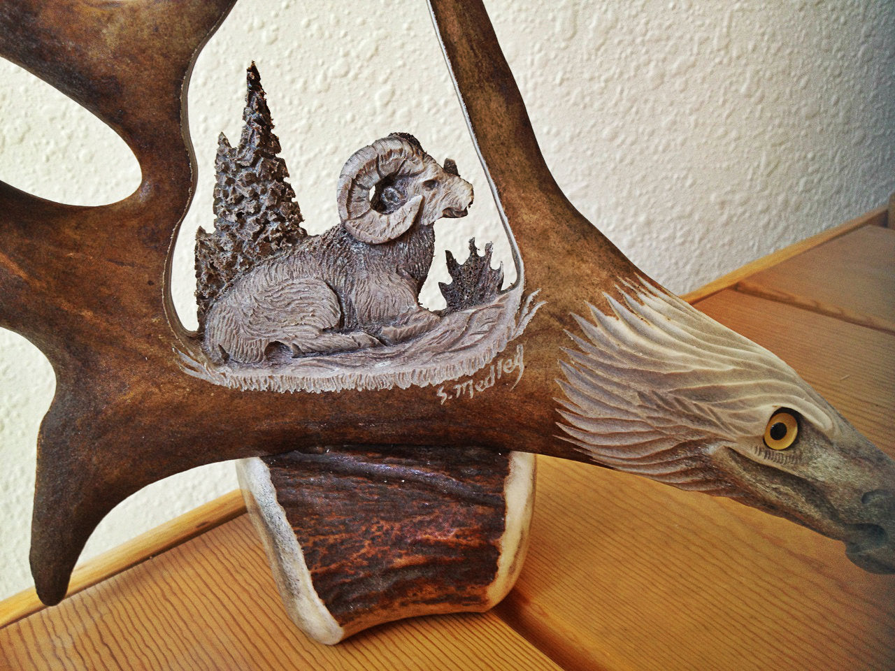 Wild Ram Antler Carving