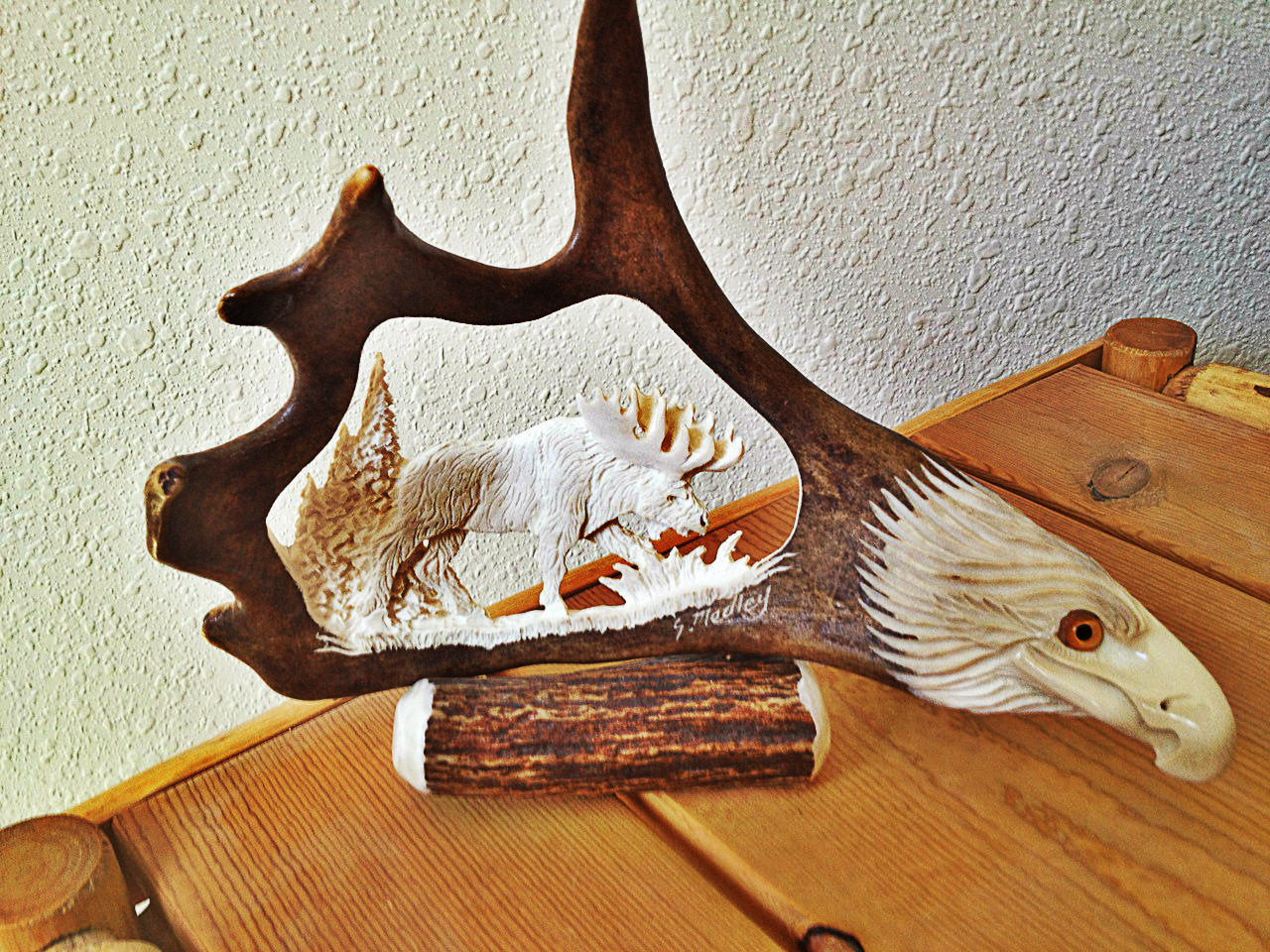 Wild Moose Antler Carving