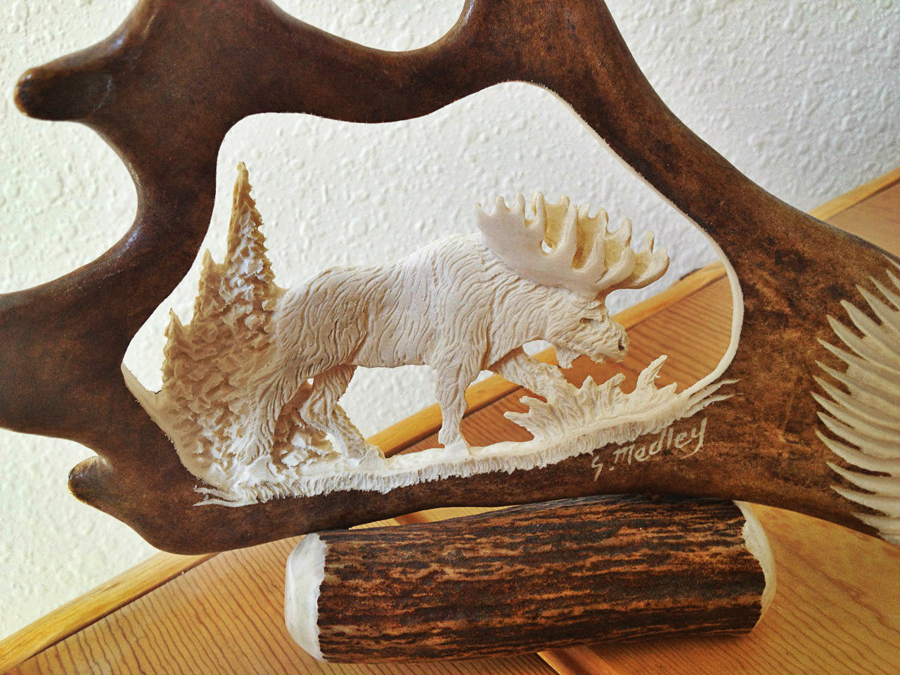 Wild Moose Antler Carving