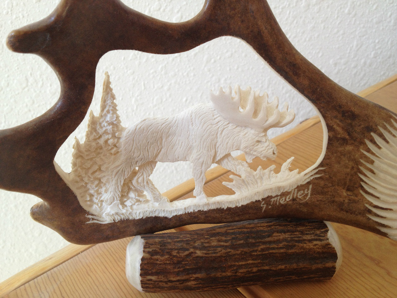 Wild Moose Antler Carving