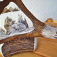 Resting Wolf Antler Carving