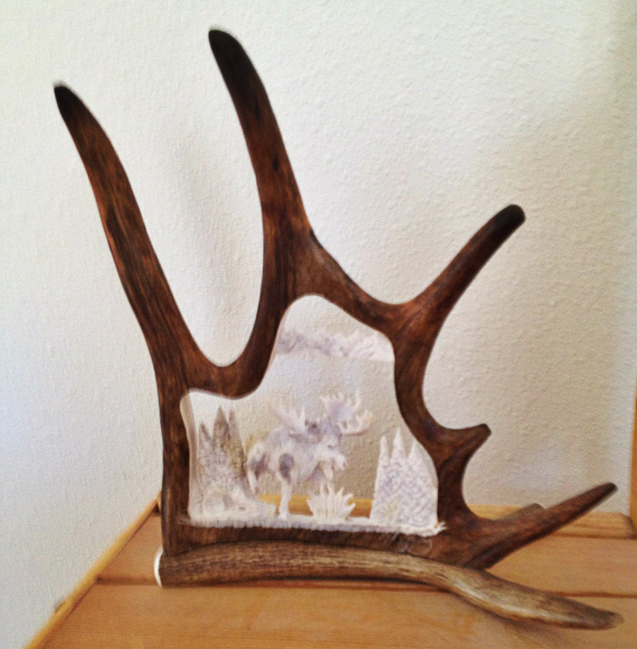 Bull Moose Antler Carving