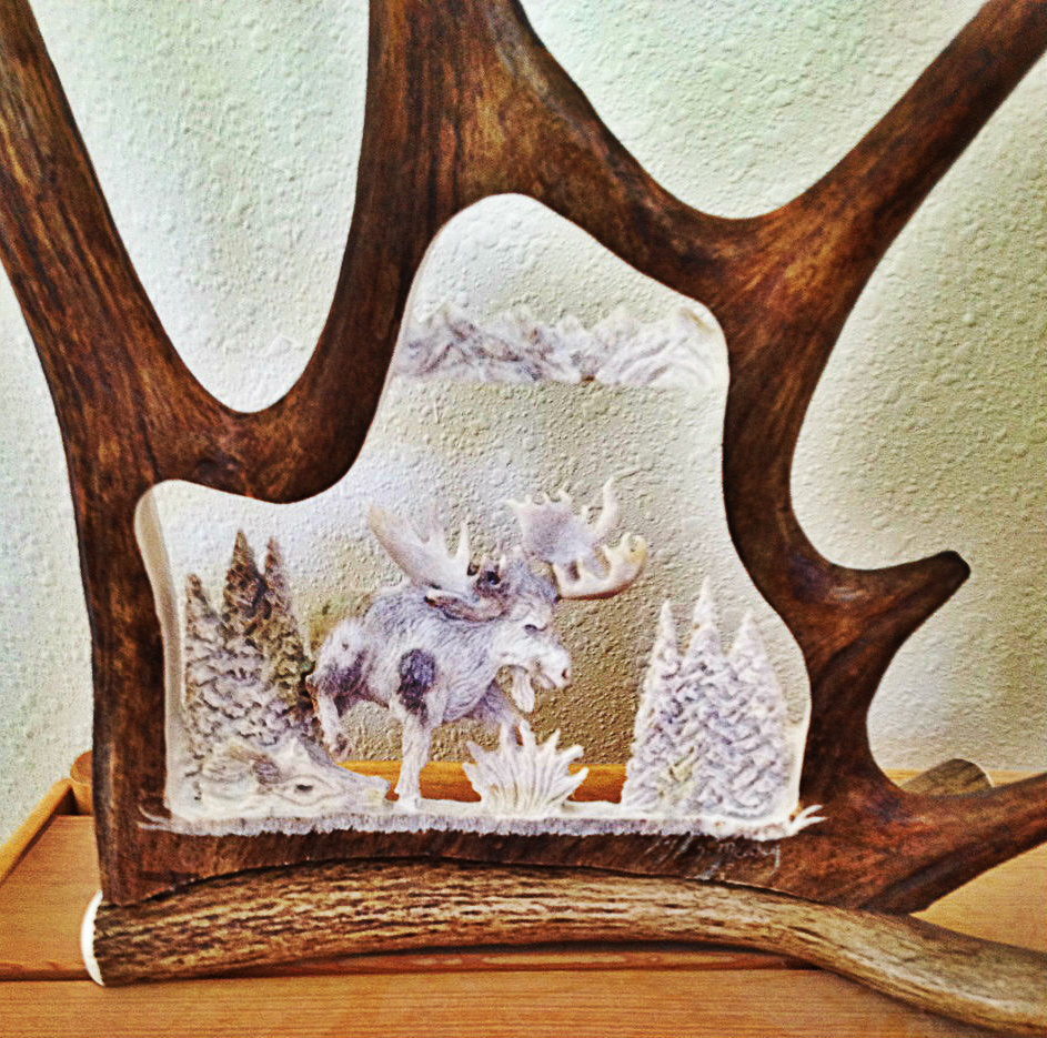 Bull Moose Antler Carving