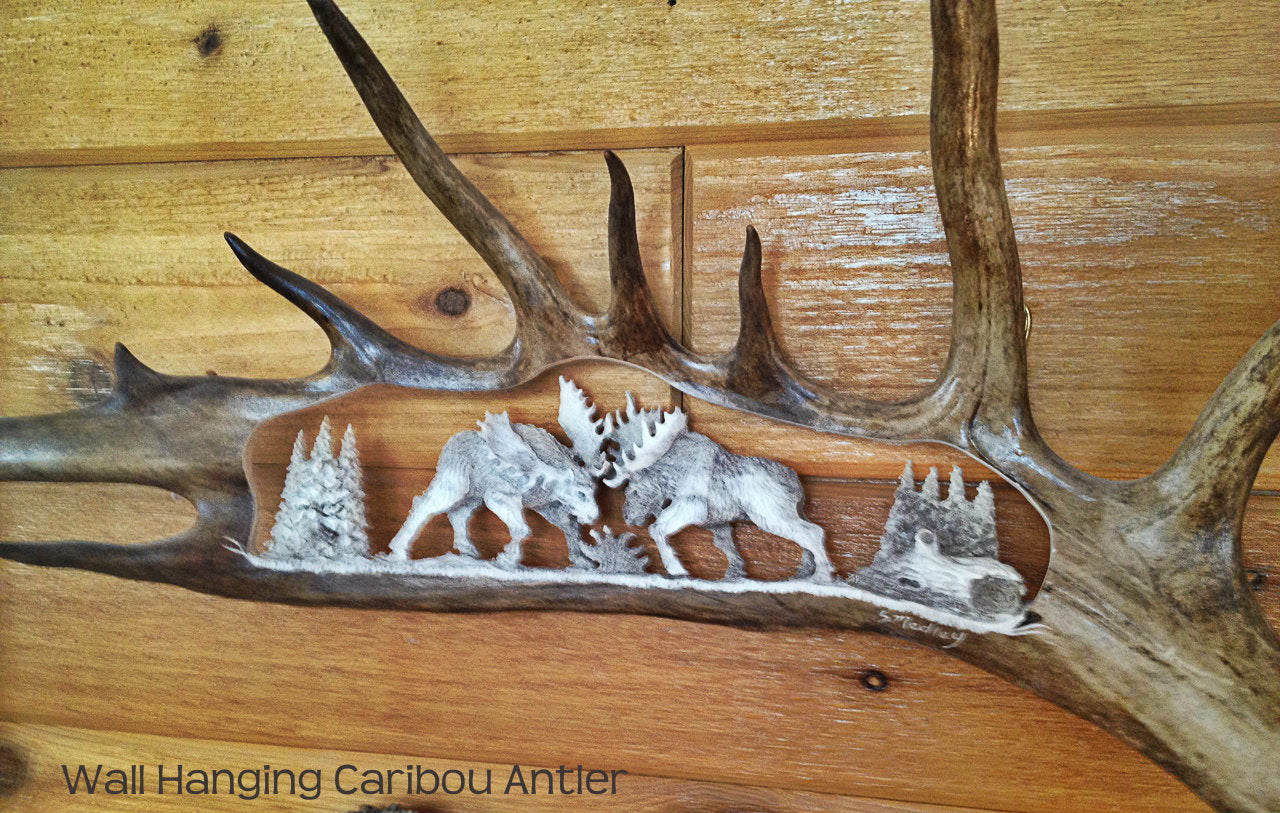 Fighting Bulls Antler Carving