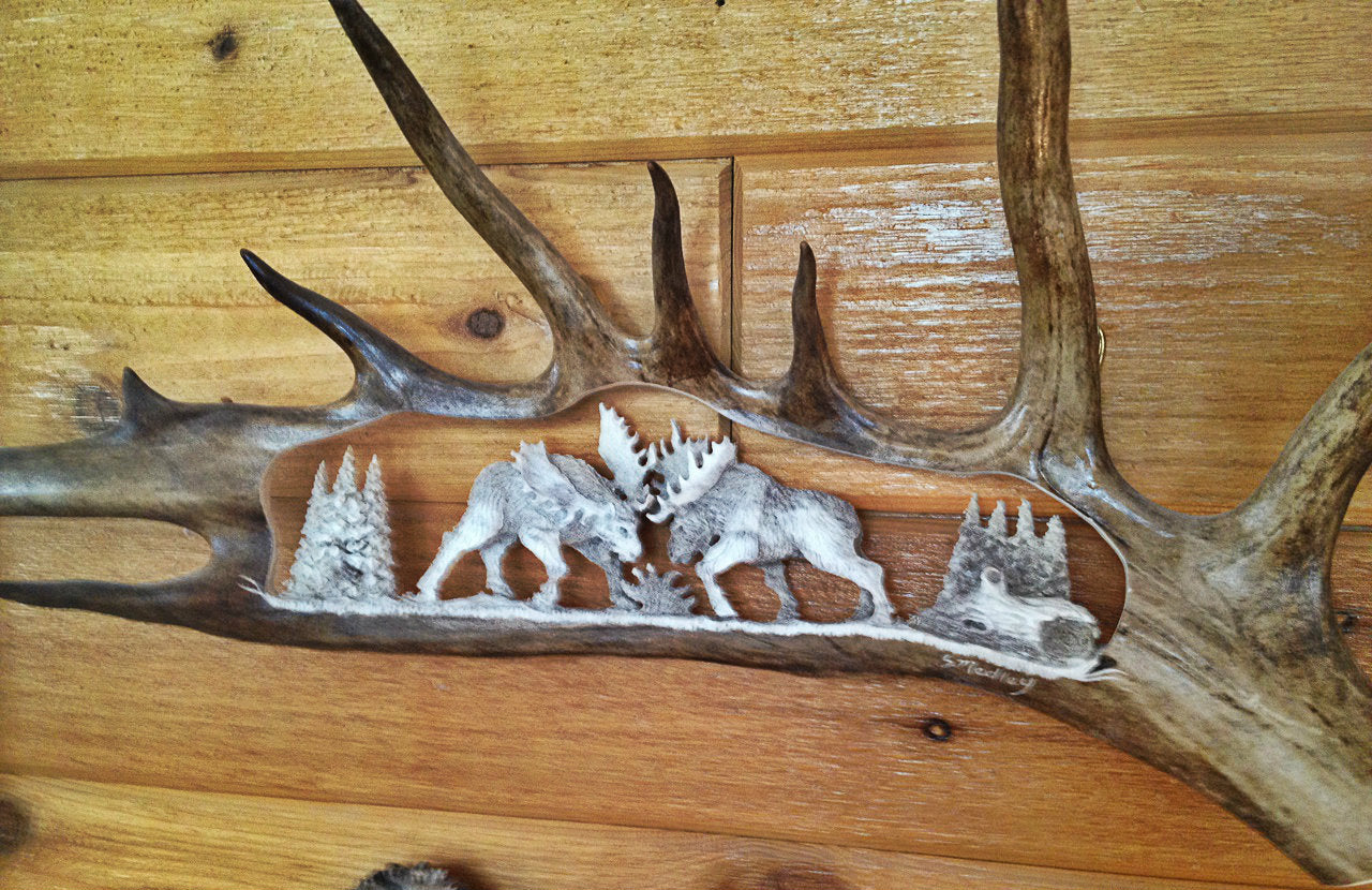 Fighting Bulls Antler Carving