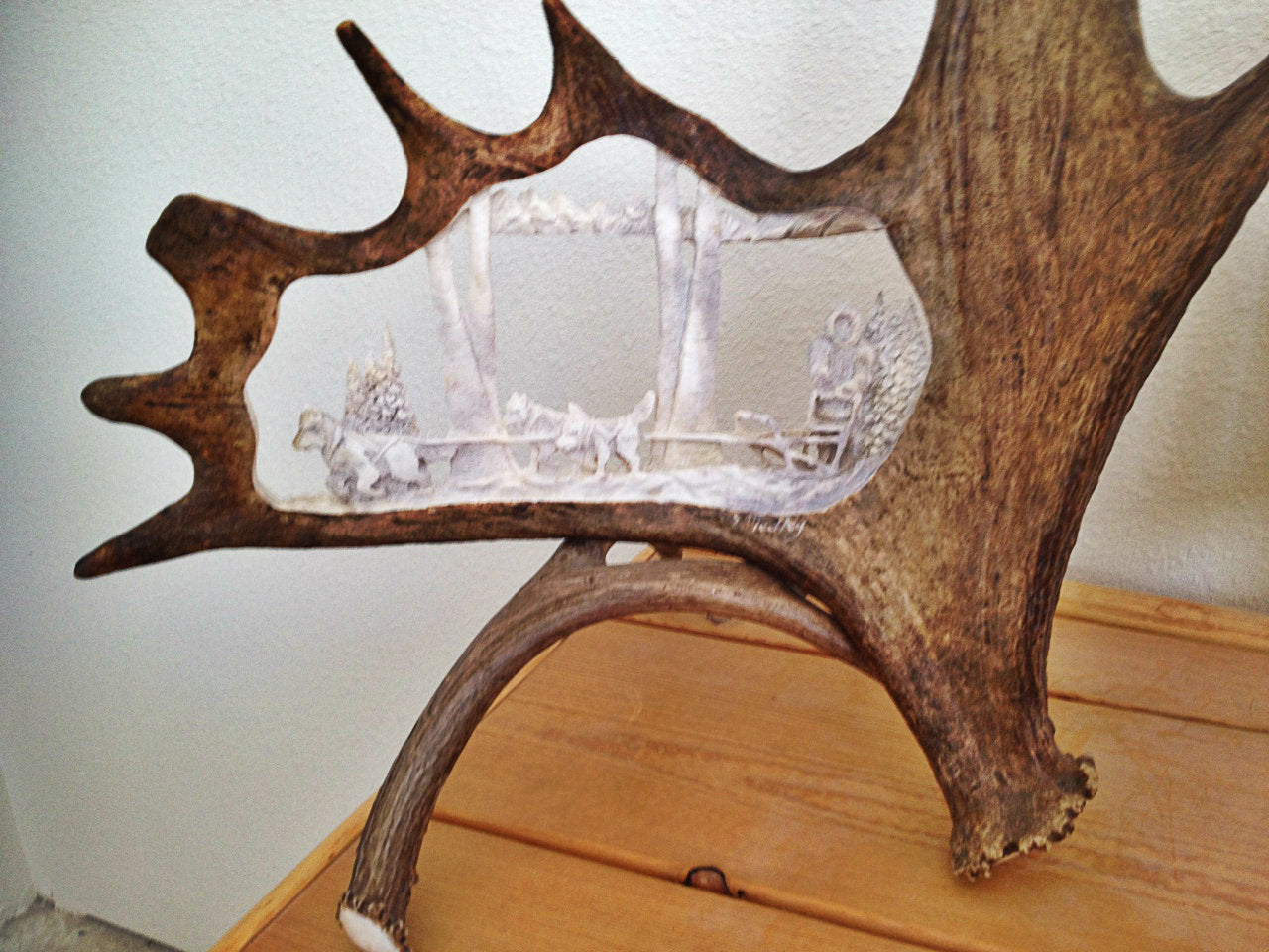 Iditarod Sled Dogs Moose Antler Carving
