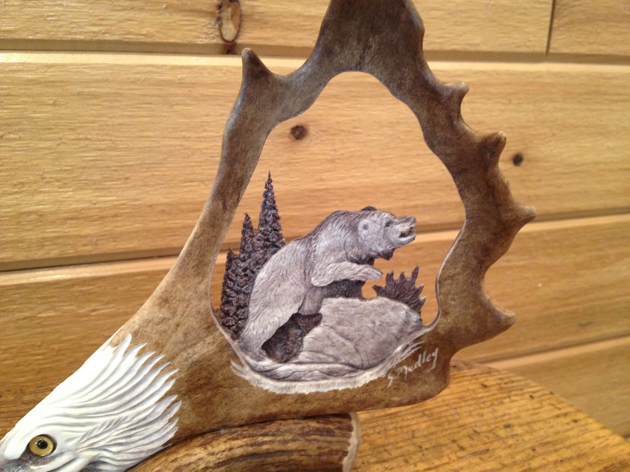 Wild Bear Antler Carving