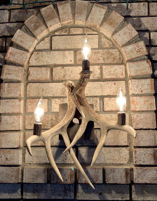 Deer Antler Wall Sconce