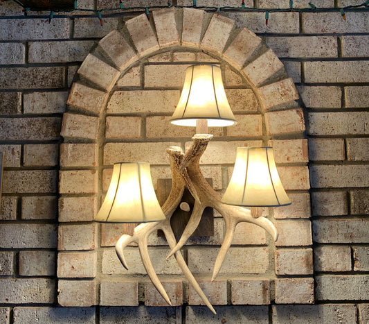 Deer Antler Pendant Light