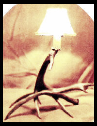 Deer Antler Table Lamp with Rawhide Shade