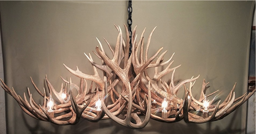 Grand Canyon Oblong Antler Chandelier 50"L,30"W,20"T, 8 Lights