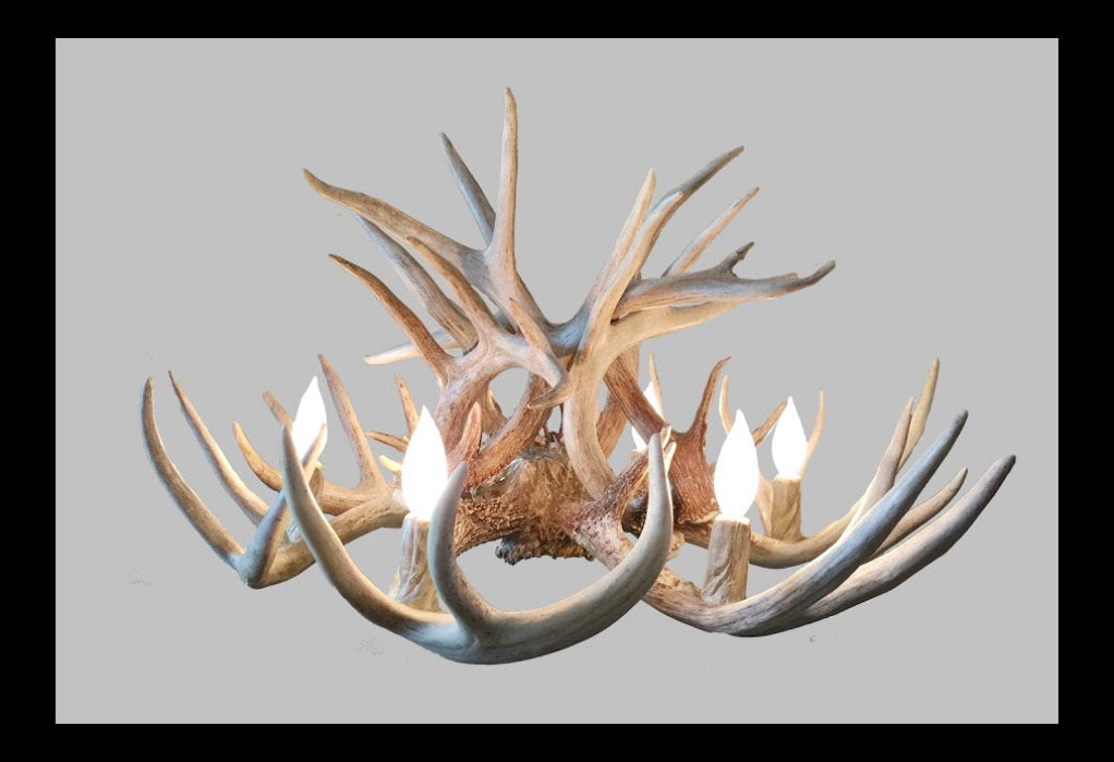 The Wild Rose Deer Antler Chandelier