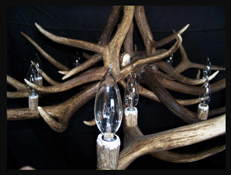 Arizona Elk Antler Chandelier, 12 Lights