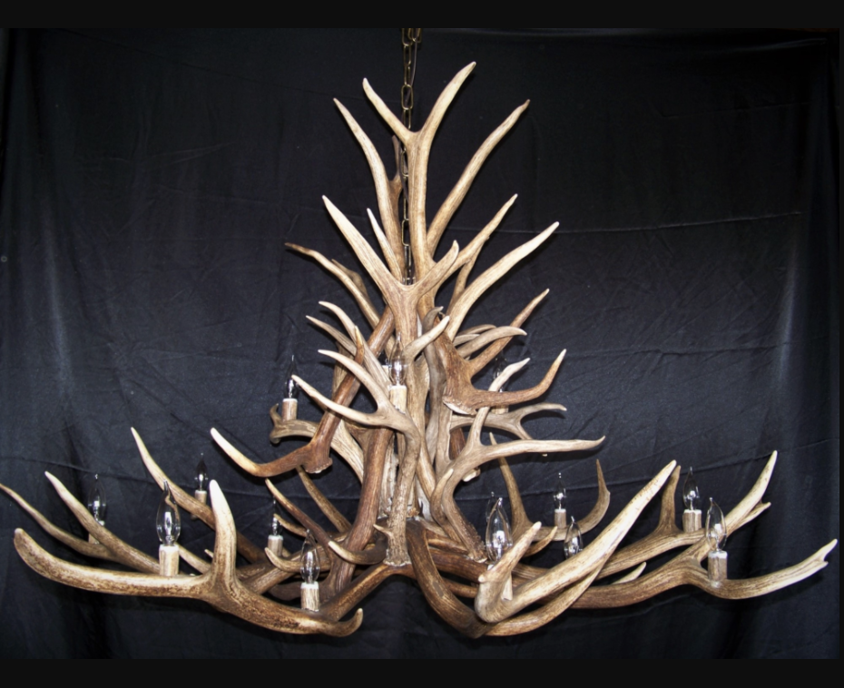 Bob Marshall Wilderness Elk Deer Chandelier