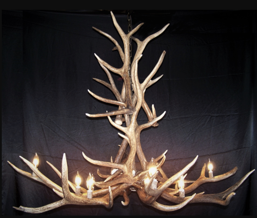 Arizona Elk Antler Chandelier, 12 Lights