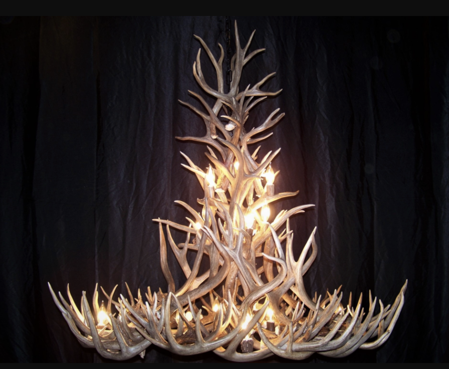 New Mexico Deer Antler Chandelier