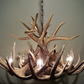 Illinois Deer Antler Chandelier, 30" W x 17" T, 6 Lights