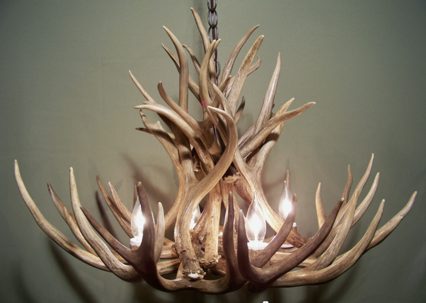 Selway Wilderness Deer Antler Chandelier