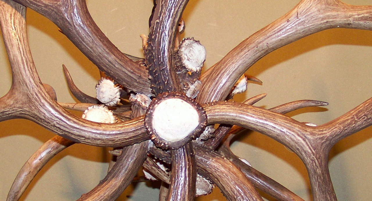 Selway Wilderness Deer Antler Chandelier