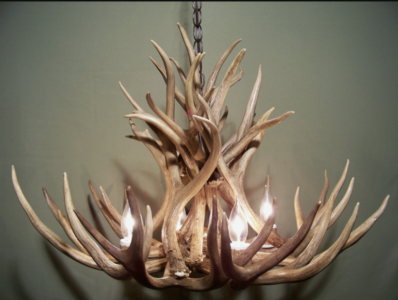 Selway Wilderness Deer Antler Chandelier, 27" W x 18" T, 4 Lights