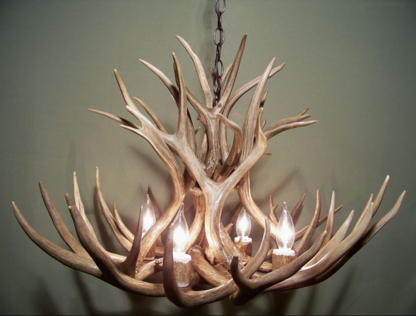 Selway Wilderness Deer Antler Chandelier, 27" W x 18" T, 4 Lights