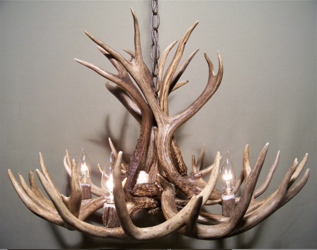 Michigan Deer Antler Chandelier, 23" W x 16" T, 4 Lights