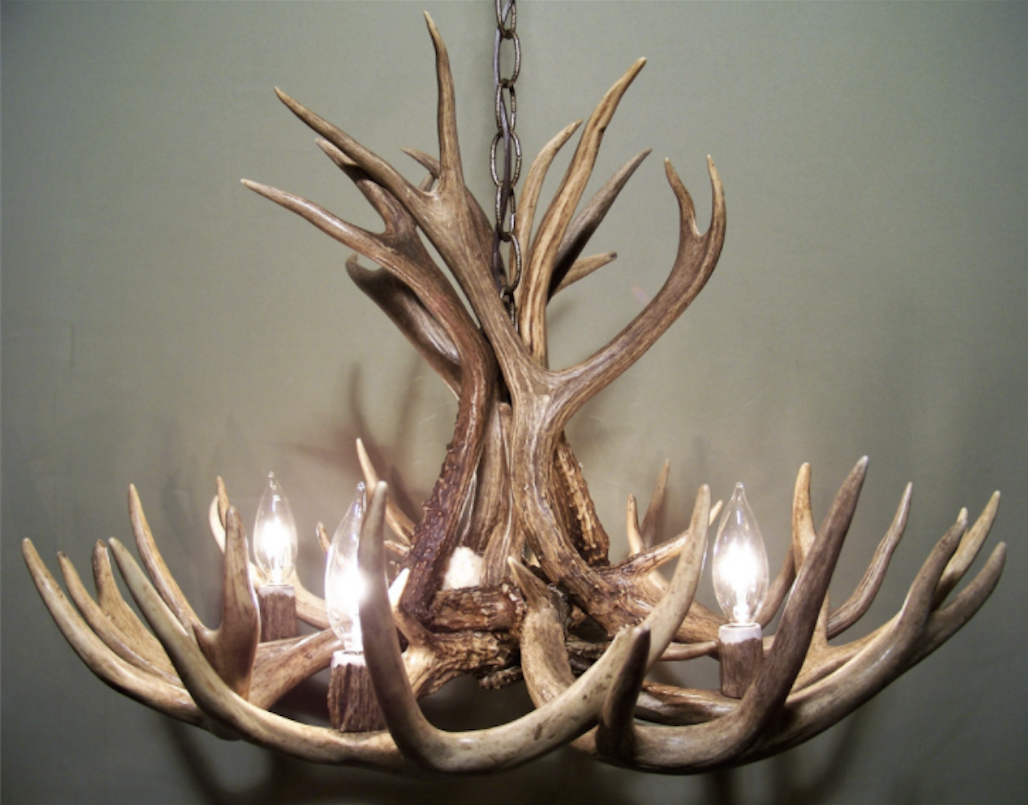 Michigan Deer Antler Chandelier, 23" W x 16" T, 4 Lights