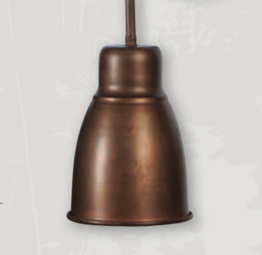 St. James Goose Neck Copper Light