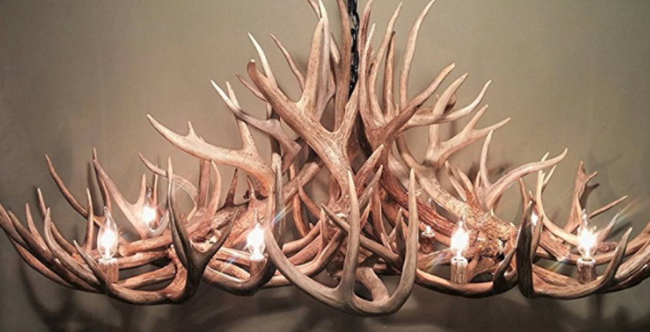 Grand Canyon Oblong Antler Chandelier 50"L,30"W,20"T, 8 Lights