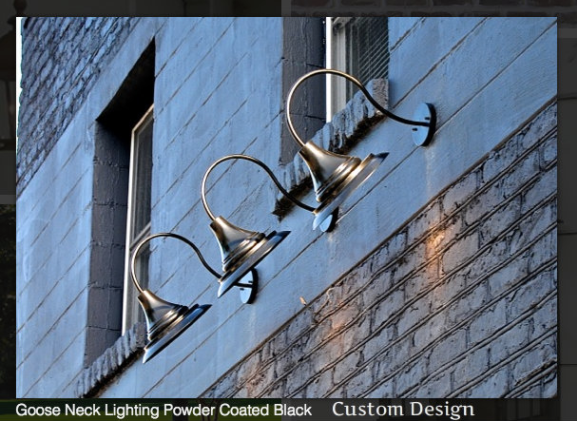 St. James Goose Neck Copper Light Custom Design