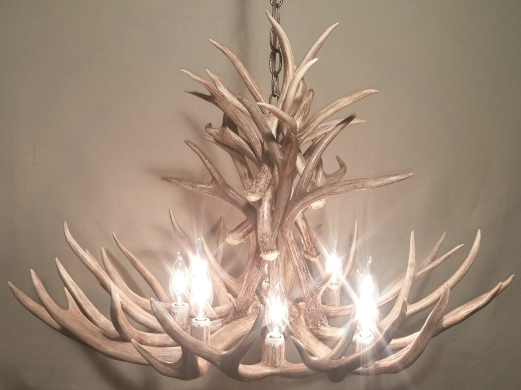 Wyoming Deer Antler Chandelier, 8-12 Lights