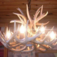 Kentucky Deer Antler Chandelier, 24" W x 16" T, 6 Lights