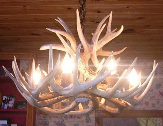Kentucky Deer Antler Chandelier, 24" W x 16" T, 6 Lights