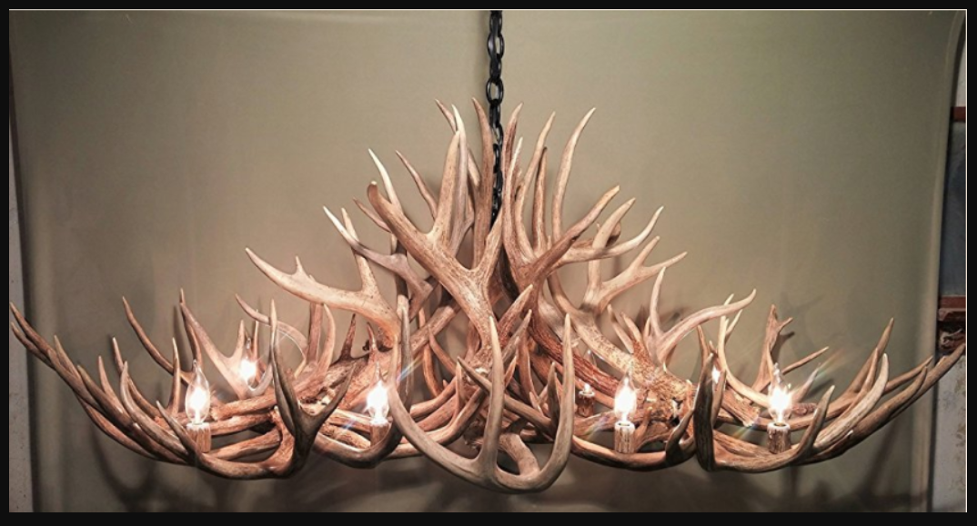 Grand Canyon Oblong Antler Chandelier 50"L,30"W,20"T, 8 Lights
