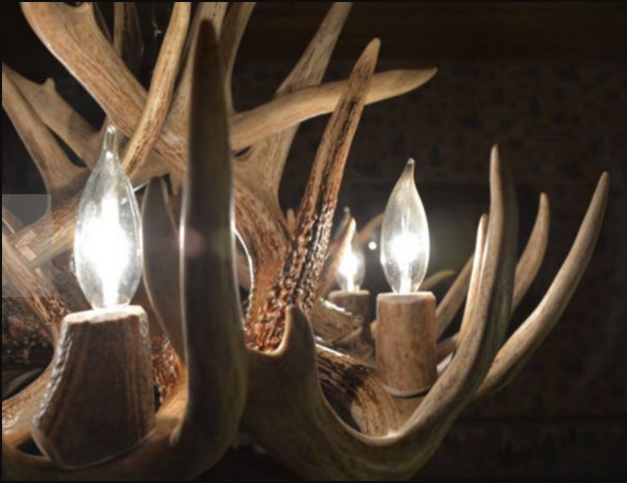 Arkansas Deer Antler Chandelier, 28" W x 16" T, 6 Lights