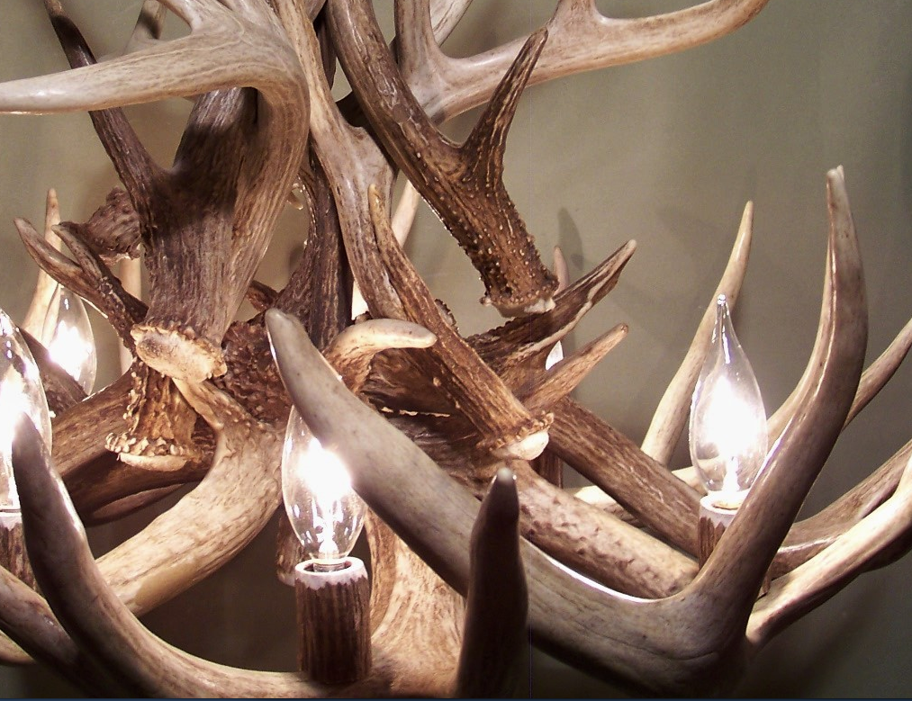 Deer Antler Chandelier Pendant Light